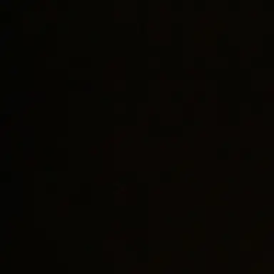 Profile image of 스키즈