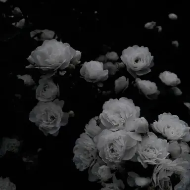 Profile image of 우융