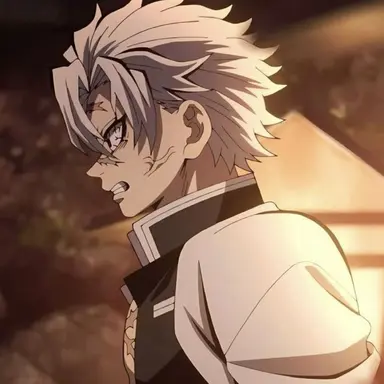 Profile image of 시나즈가와 사네미