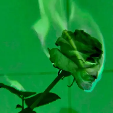 Profile image of 정형준