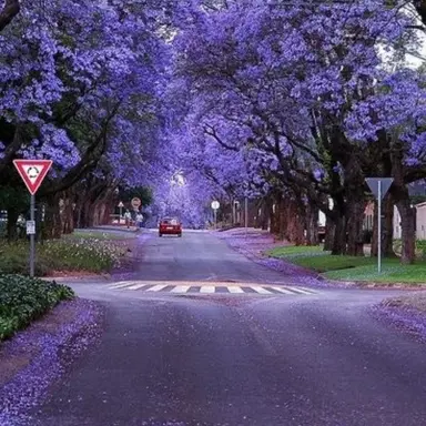 Profile image of 수현