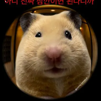 Profile image of 늑대