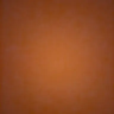 Profile image of 한수영