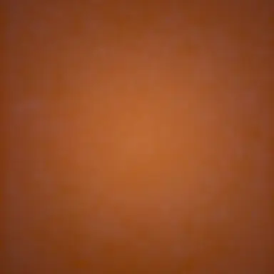 Profile image of 이현성