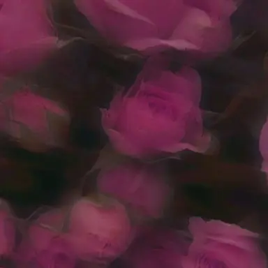 Profile image of アルフレッド