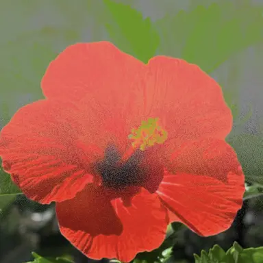 Profile image of Akai