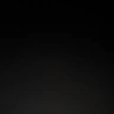 Profile image of 윤이랑