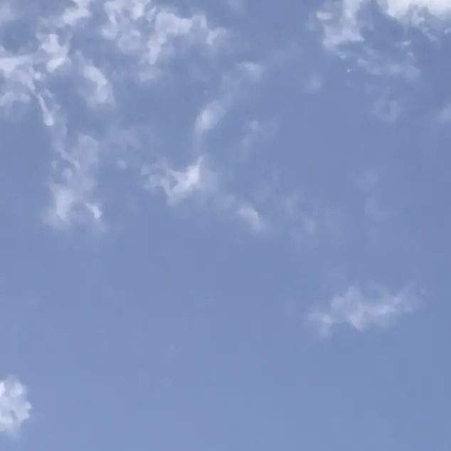 GayMoose2729의 春夏秋冬