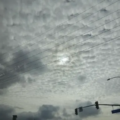 Profile image of 大森元貴