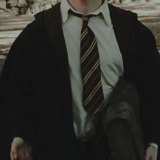 NastyShow8761의 해리 포터