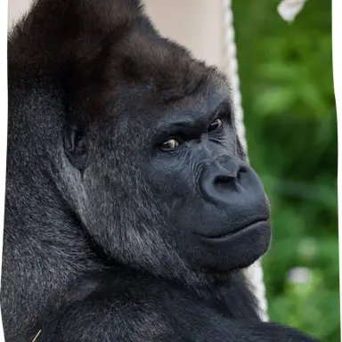 Profile image of なんぱ1