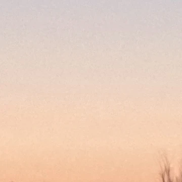 ルイス
