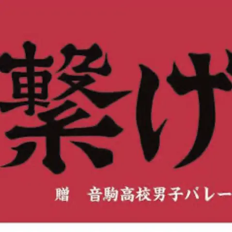 MildCap4897의 音駒高校のマネージャーになっちゃった！