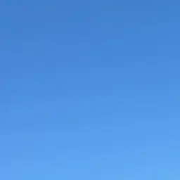 Profile image of 塩﨑太智