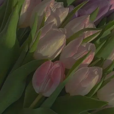 Profile image of 박덕개