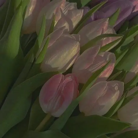 NewGorge6834의 박덕개