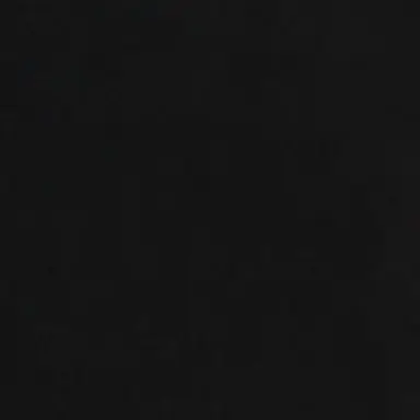 Profile image of シンロン