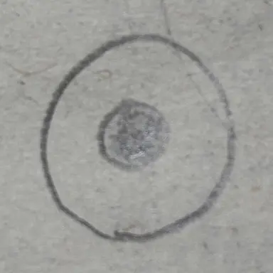 Profile image of 日本