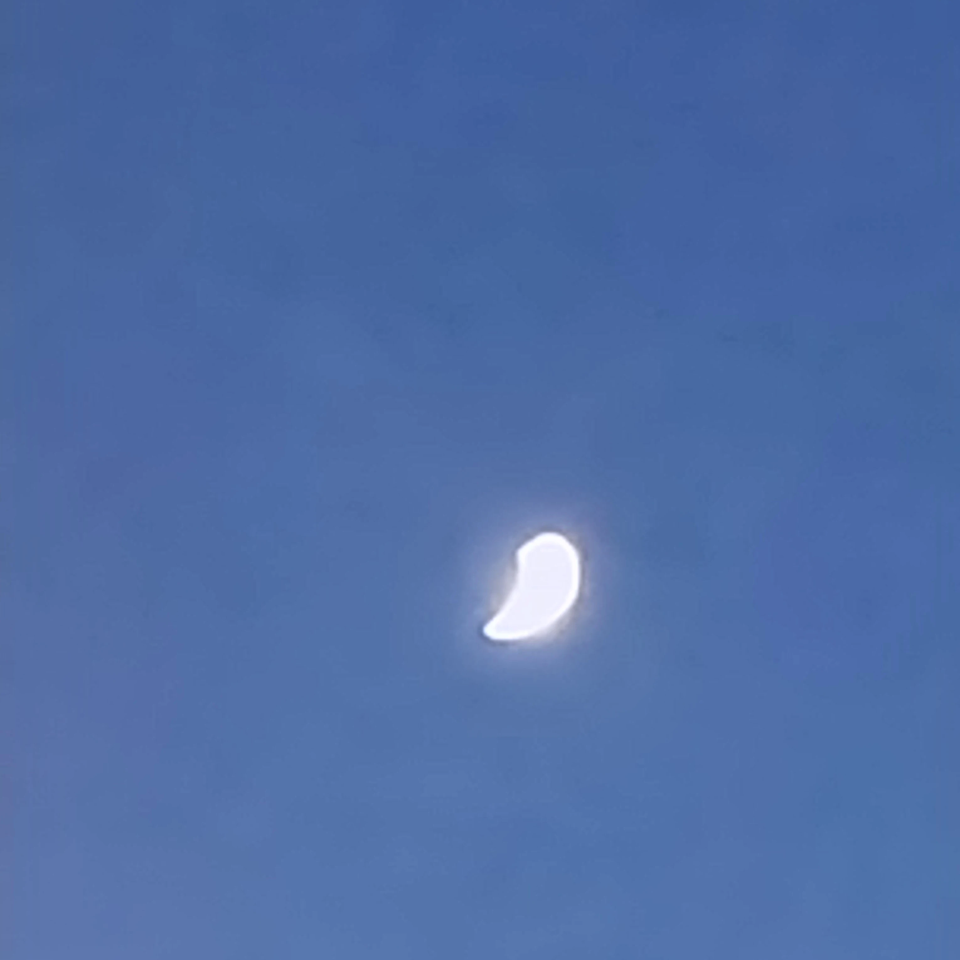달이