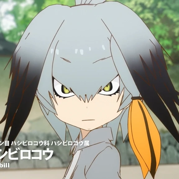 ハシビロコウ