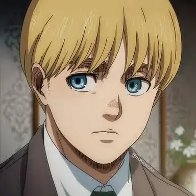 Profile image of アルミン・アルレルト
