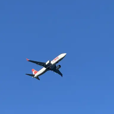 Profile image of 종이국제공항