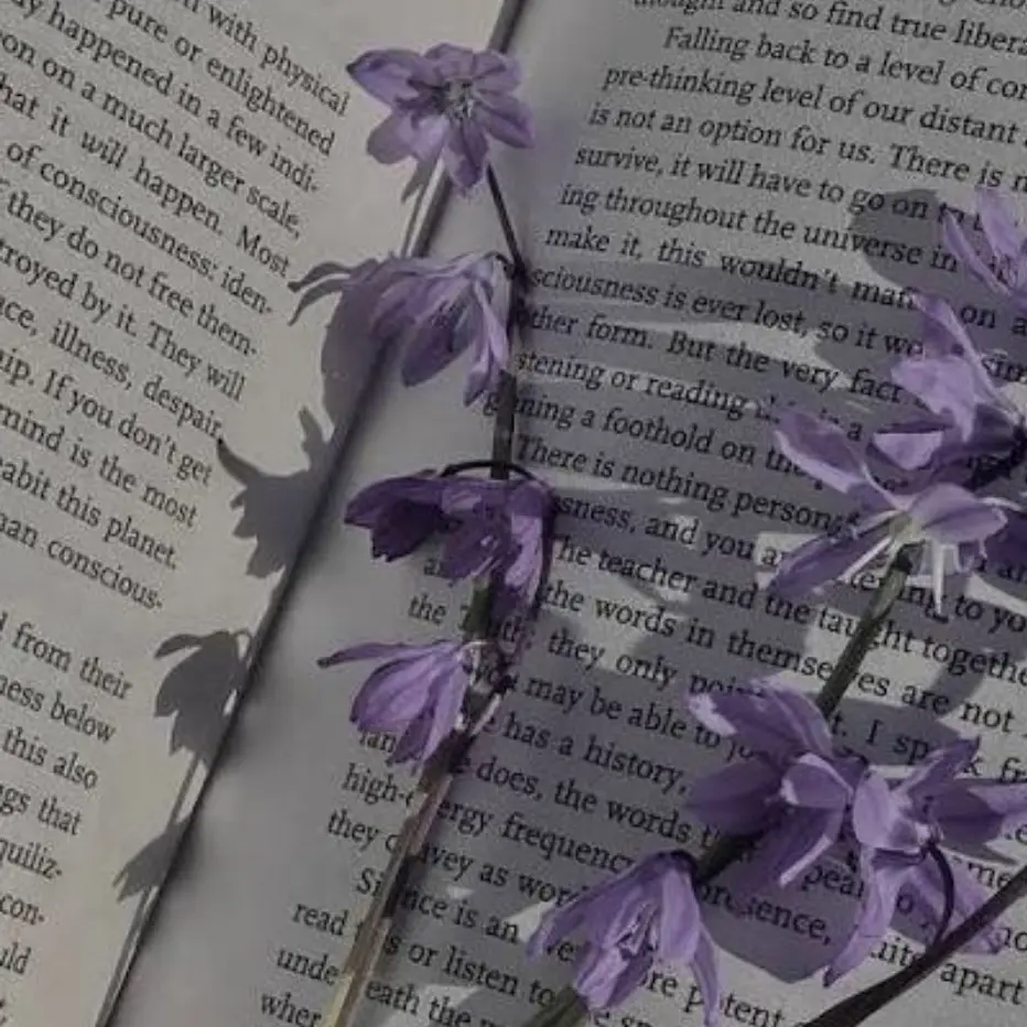 Honney_bear의 황수현