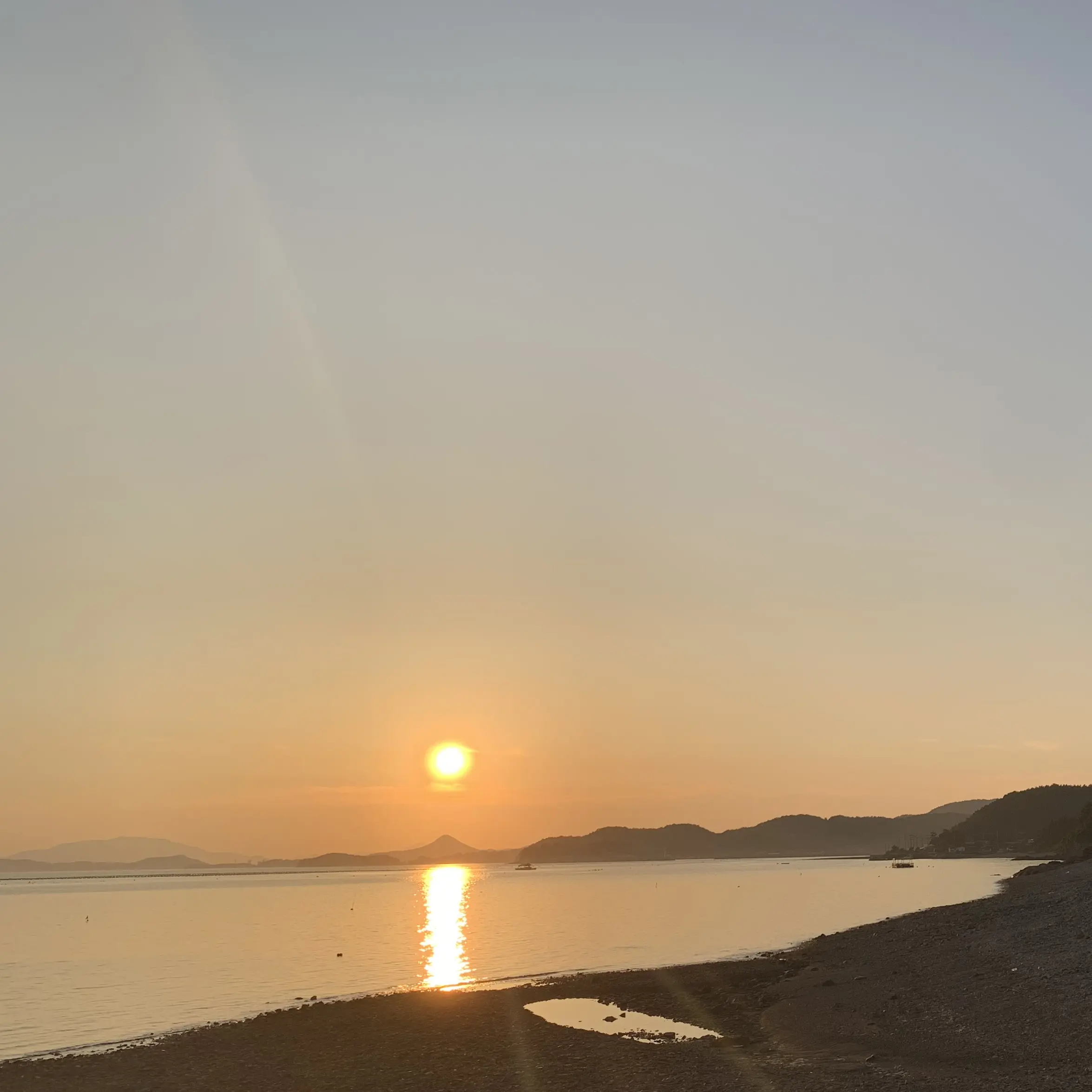 Guestonetwothree의 교복을 입은 시체