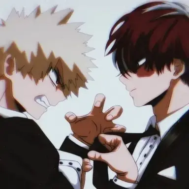 Profile image of Todoroki and Bakugou