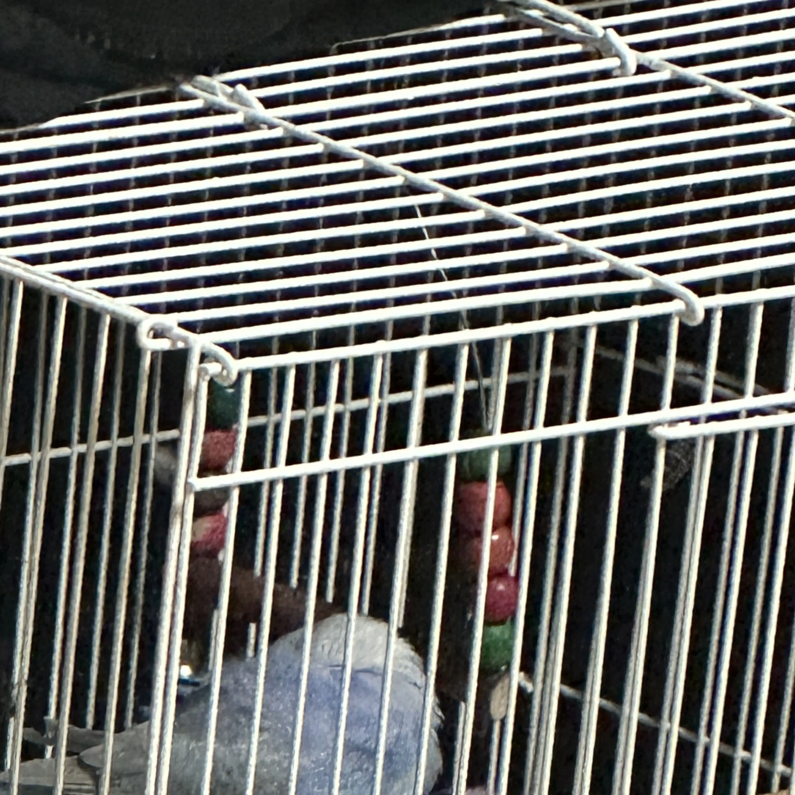 AfraidEmoji1092의 나를 동시에 좋아한 남사친과 찐따?