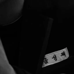 금성제