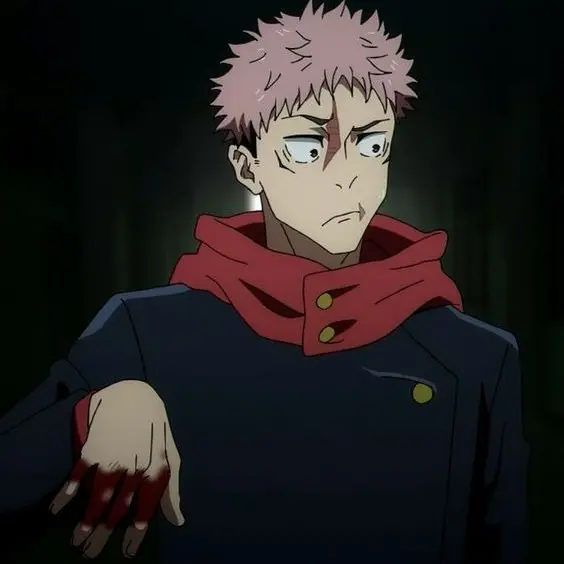 Atotomax5958의 虎杖 悠仁