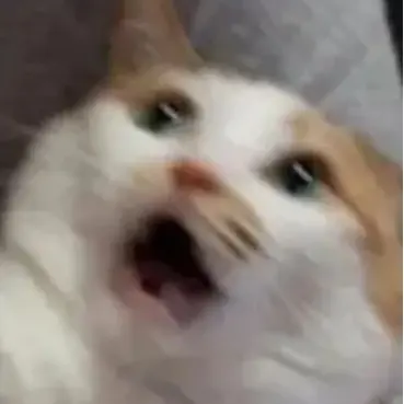 Profile image of にゃんさんですよ
