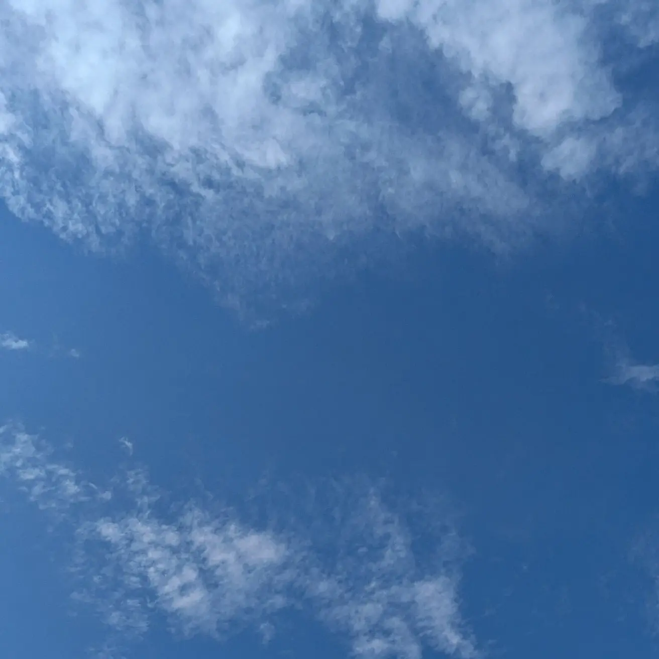 StockyLeaf9902의 体育館倉庫