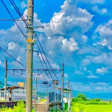 Profile image of 타카하시 히카리