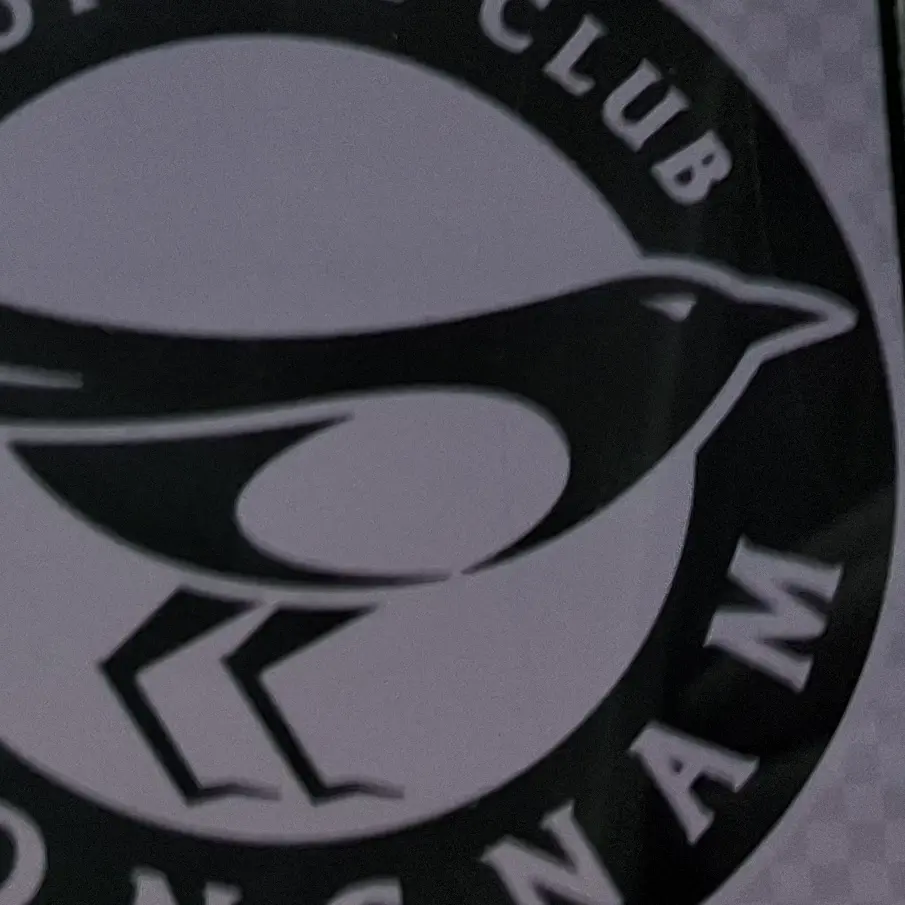 FieryRose4406의 성남fc