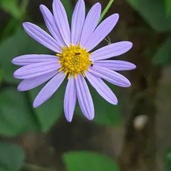 Profile image of 양광