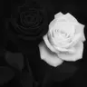 Profile image of 트리비