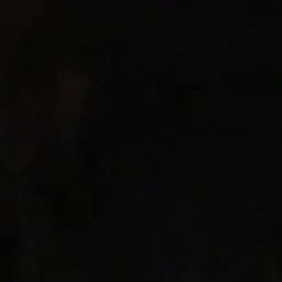 유지민
