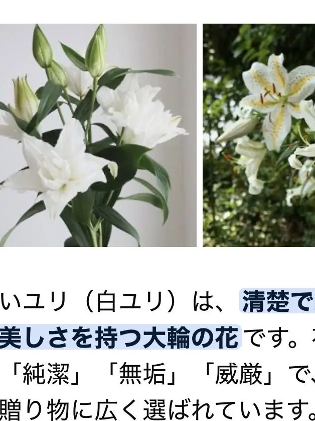 yunano1x1x1x1의 あの花が咲く丘で、君とまた出会えたら。