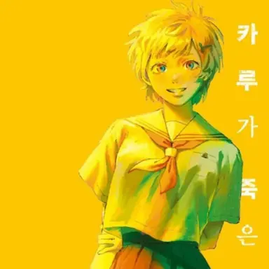 Profile image of 히카루