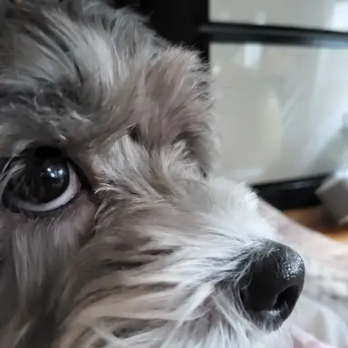 Profile image of 누나