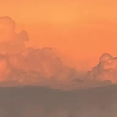 Profile image of Al Capone