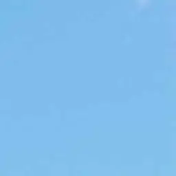vcswh7281의 왁타버스 (고멤)