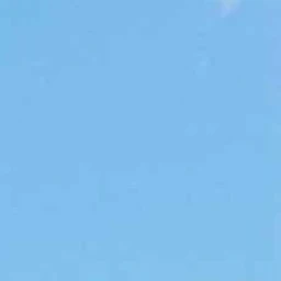 왁타버스 (고멤)