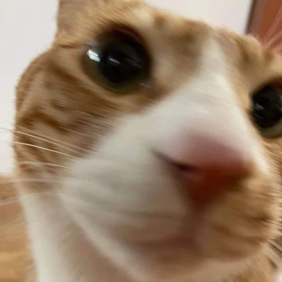 이민호