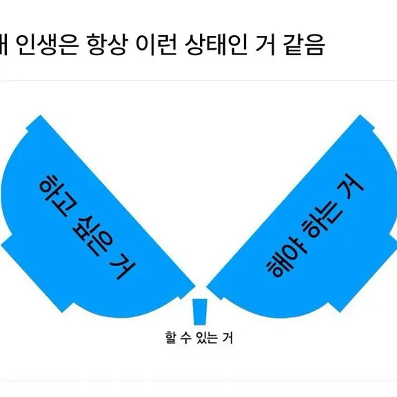 ZestyPea8995의 A