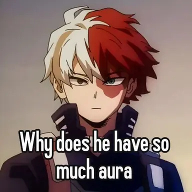 Profile image of Todoroki