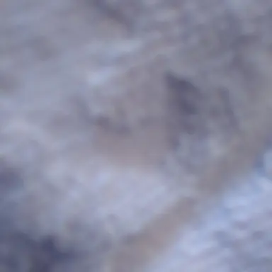 Profile image of 立花仙蔵