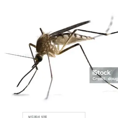 Profile image of 김변테